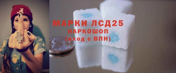 прущий лед Алзамай