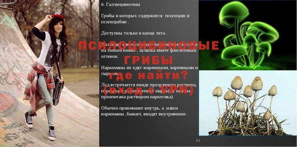 гидра Алексин