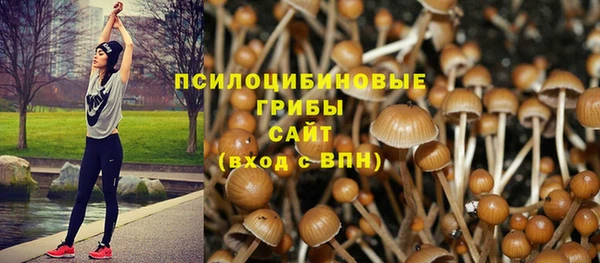 гидра Алексин