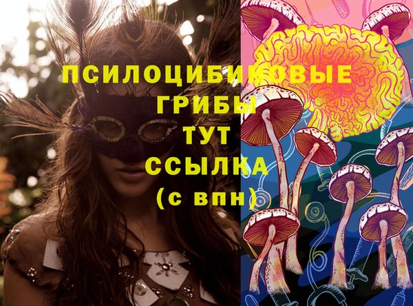 каннабис Алексеевка