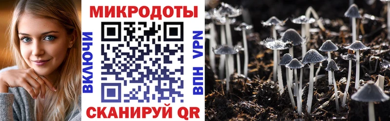 KRAKEN tor наркотики Кыштым Галлюциногенные грибы Psilocybine cubensis