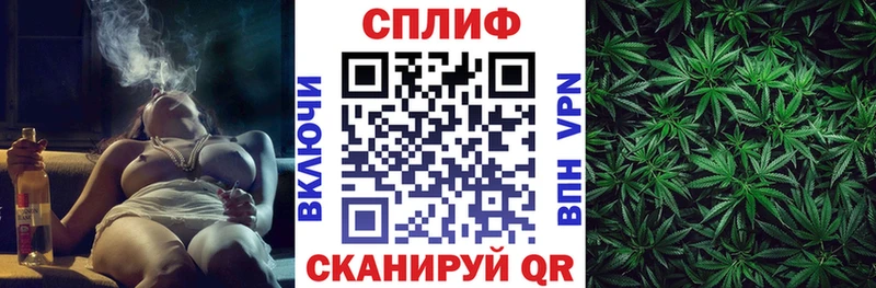 Бошки марихуана сатива  что такое наркотик  Кыштым 